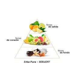 Erba Pura - Xerjoff ¡Asesoría y Envíos Gratis!