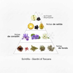 Szintilla - Giardini di Toscana Kostenloser Versand!