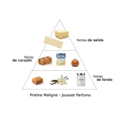 Praline Maligne - Jousset Parfums ¡Asesoría y Envíos Gratis!