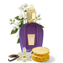 Acento roxo 100 ml - Xerjoff Aconselhamento gratuito e remessas!