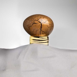 Pó dourado - The House Of Oud