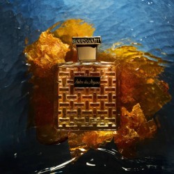 Ambré des Abysses EDP 100 ml - Houbigant Paris ¡Envíos Gratis!