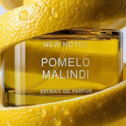 Pomelo Malindi Extrait - New Notes ¡Asesoría y Envíos Gratis!
