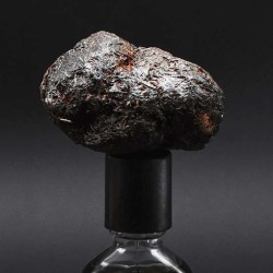 Stercus 50 ml - Orto Parisi ¡Asesoría y Envíos Gratis!