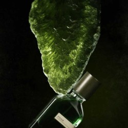 VIRIDE 50 ML  -  ORTO Paris免费咨询和运输！!