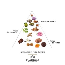 Harmonon pure Parfum 100 ml - Boadicea The Victorious Conseils gratuits et envois!