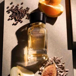 Wanderlust 100 ml - Oman Luxury ¡Asesoría y Envíos Gratis!