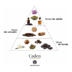 Caden Eau de Parfum 100 ml - Oman Luxury
