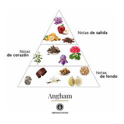 Angham 100 мл - Oman Luxury
