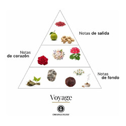VOYAGE 100 ml - Oman Luxury
