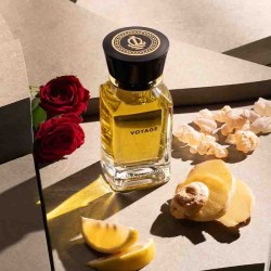 航行100毫升 -  Oman Luxury 免费咨询和出货量！