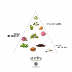 Mariya 100 ml - Oman Luxury ¡Asesoría y Envíos Gratis!