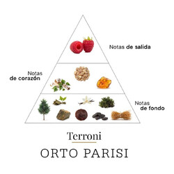 Terroni 50 мл - Орто Париси
