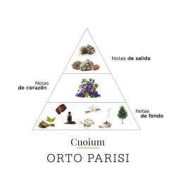 Cuoium  -  Orto Parisi免费咨询和运输！!