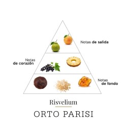 Risvelio 50 ml - Consulente di Orto Parisi e spedizione gratuita!