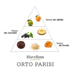 Risvelium 50 ml  -  Orto parisi
