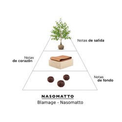 BLAMSAGE - NASOMATTO