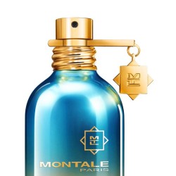 草药aquatica 100ml  -  Montale Paris 免费咨询和出货量！