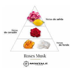 Розы мускус - Montale Paris