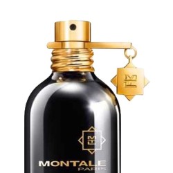 Oud Edition 100 ml - Montale Paris ¡Asesoría y Envíos Gratis!