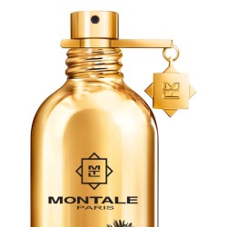 Arabians 100ml  - Montale Paris ¡Asesoría y Envíos Gratis!