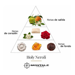 神圣的Neroli 100 ml  -  Montale Paris