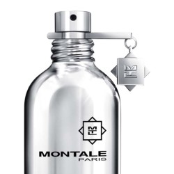 Vanilla Extasy 100 ml - Montale Paris Aconselhamento gratuito e remessas!