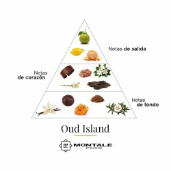 Oud Island 100 ml - Montale Paris Gratis råd og forsendelser!