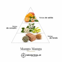 Mango Manga 100 ml - Montale Paris ¡Asesoría y Envíos Gratis!