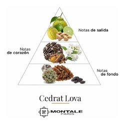 CedRat Lova 100 мл - Montale Paris