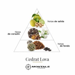 Cedrat Lova 100 ml - Montale Paris ¡Asesoría y Envíos Gratis!