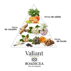 Valiant Pure Parfum 100 ml - Boadicea The Victorious
