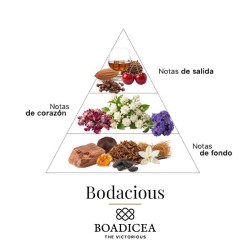 Bodacius 100 ml - Boadicea The Victorious Darmowa porada i przesyłki!