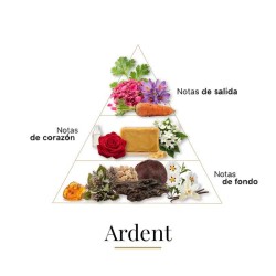 Ardente 100 ml - Boadicea The Victorious Aconselhamento gratuito e remessas!