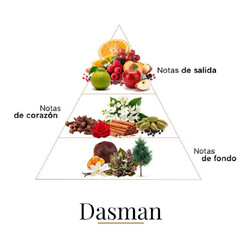 Dasman pure parfum 100 ml - Boadicea The Victorious