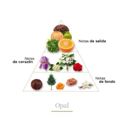 Opala 100 ml - Boadicea The Victorious Aconselhamento gratuito e remessas!