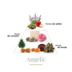 Angelic 100 ml - Boadicea The Victorious ¡Asesoría y Envíos Gratis!