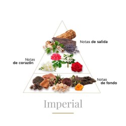 Imperial 100 ml - Boadicea The Victorious Free advice and shipments!