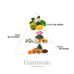 Hanuman Pure Parfum 100 ml - Boadicea The Victorious Gratis råd og forsendelser!