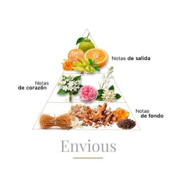 Envious 100 ml - Boadicea The Victorious ¡Asesoría y Envíos Gratis!
