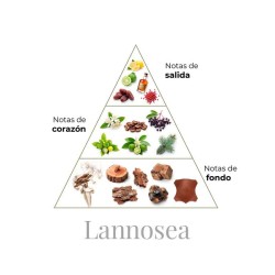 Lannosea 100 ml - Boadicea ¡Asesoría y Envíos Gratis!