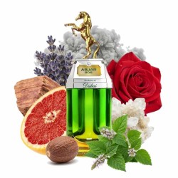 Dubaï Abjar Bois EDP 90 ml - L'Esprit de Dubaï Conseils et livraisons gratuits!