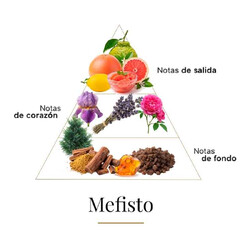 Mefisto - Casamorati