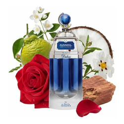 Dubai Aamal Metallique Edp - o Espírito de Dubai