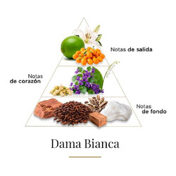 比安卡夫人 -  Casamorati