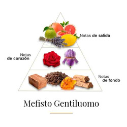 Mefist Gentiluomo  -  Casamorati