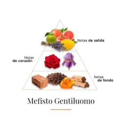 MEFST GENTILUOMO - Casamorati Consigli e spedizioni gratuiti!