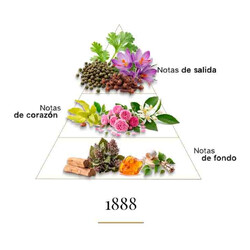 1888年 -  Casamorati
