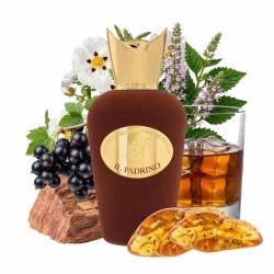 Il Padrino 100 ml - Sospiro Consigli e spedizioni gratuiti!
