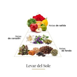 Levar Del Sole - Casamorati ¡Asesoría y Envíos Gratis!